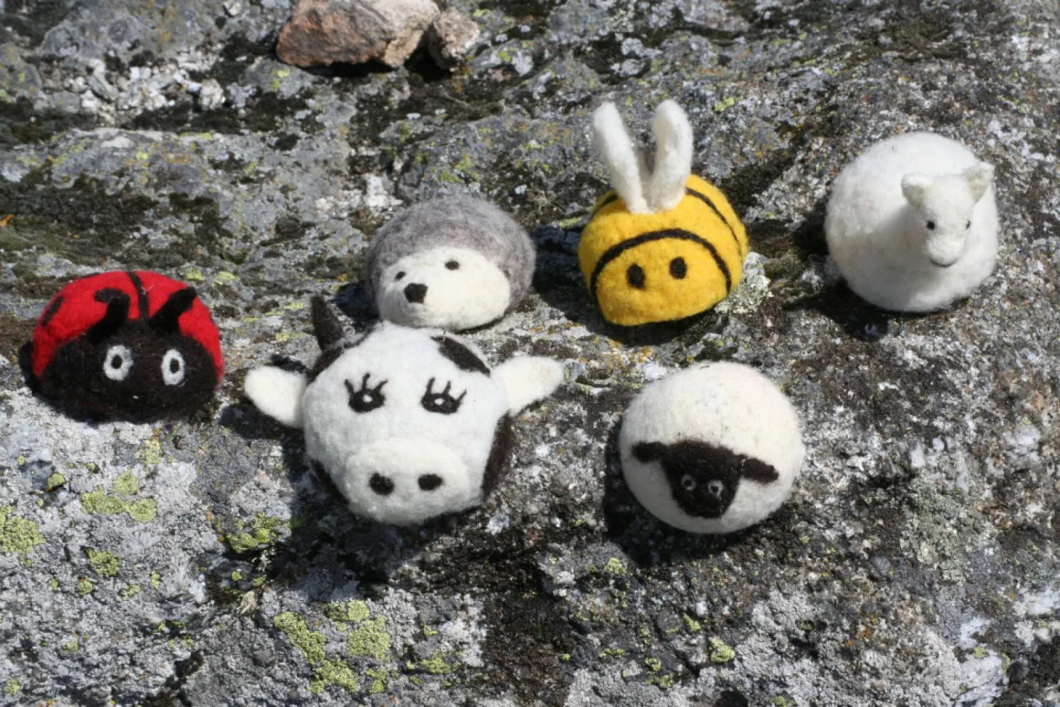 Animaux porte-aiguilles – Image 3