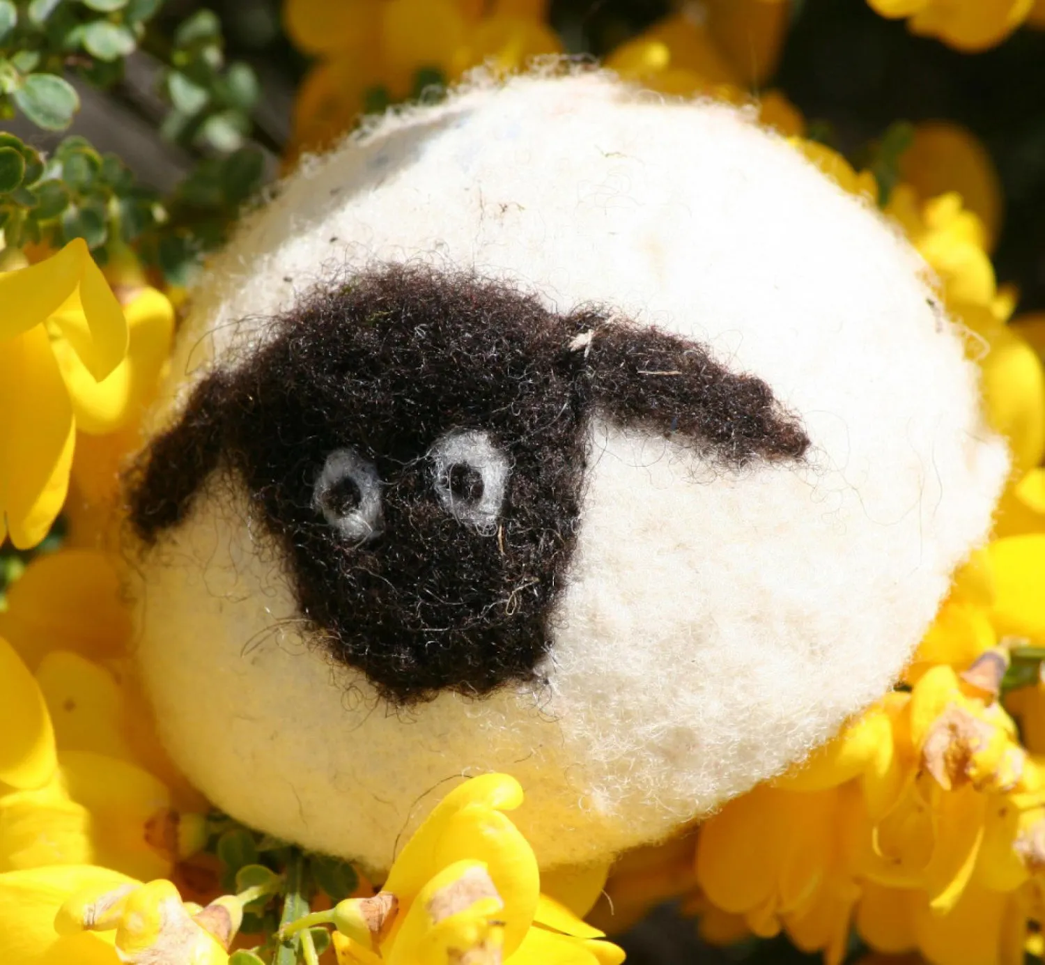 Animaux porte-aiguilles – Image 8