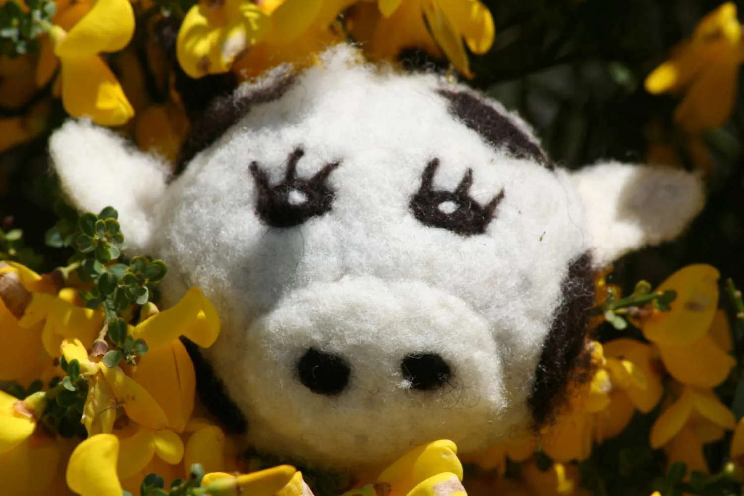 Animaux porte-aiguilles – Image 9