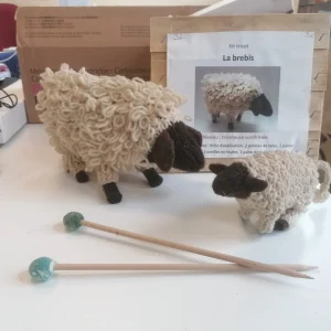 Kit Brebis à tricoter en laine locale