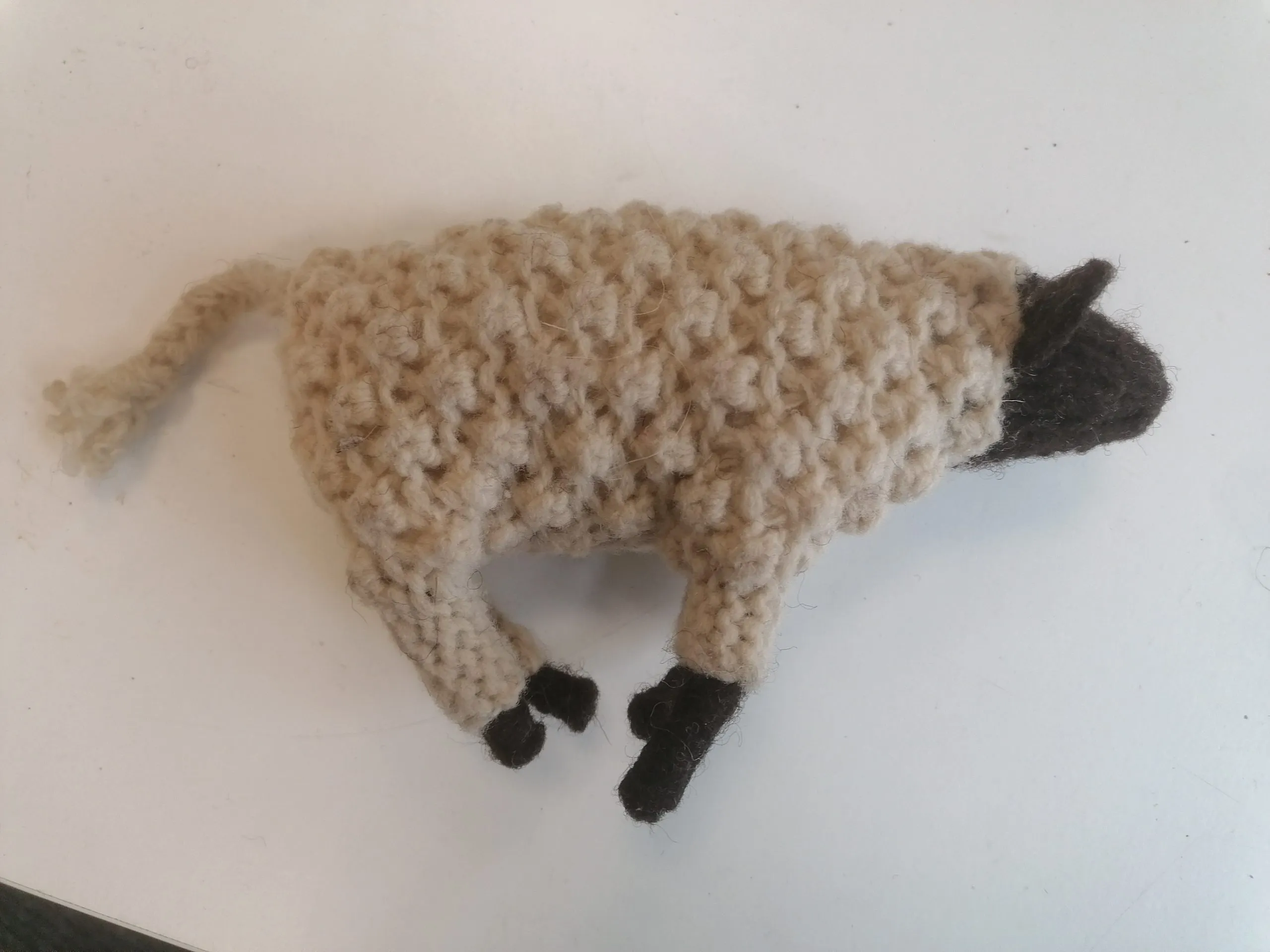 Kit Brebis à tricoter en laine locale – Image 5