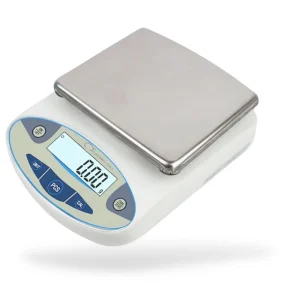 Balance de Cuisine Professionnelle