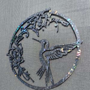 L’eveil du colibri holographique