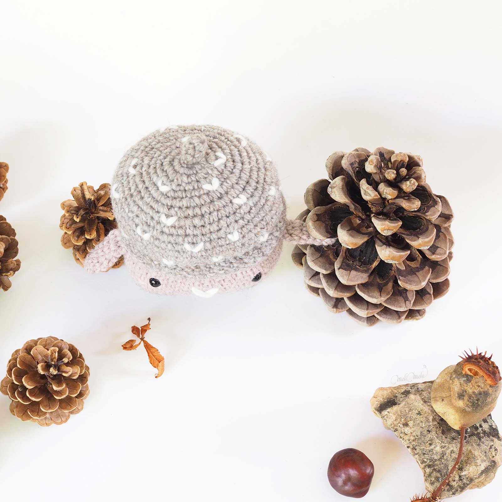 Erwin, le gland d’automne – Image 3