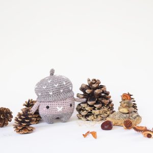 Erwin, le gland d&rsquo;automne