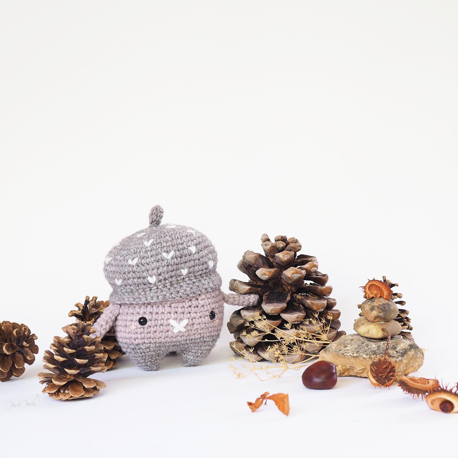 Erwin, le gland d’automne – Image 2