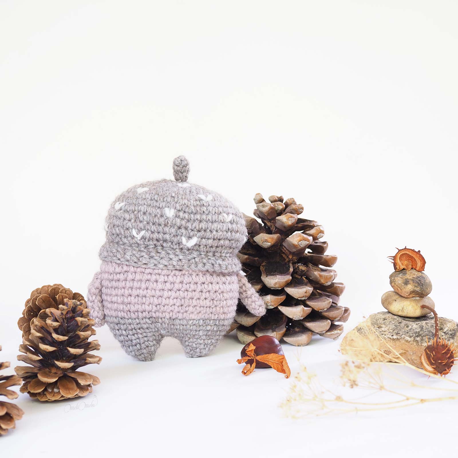 Erwin, le gland d’automne – Image 4