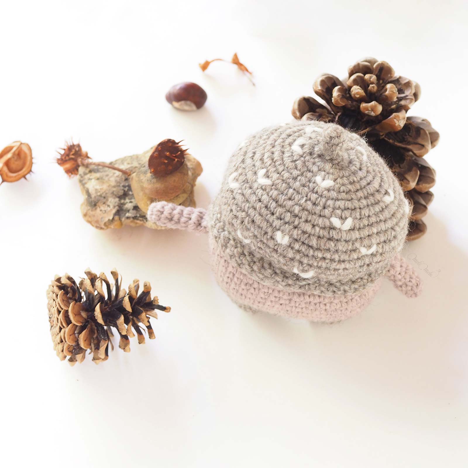 Erwin, le gland d’automne – Image 5