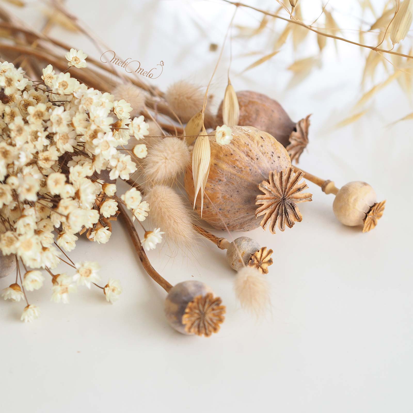 Coffret kit DIY Hirondelle poétique v.2025 – Image 4