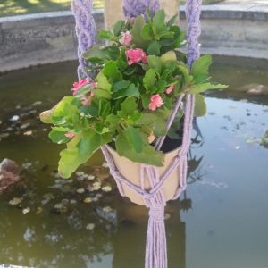 suspension macramé plante / porte-plante macramé / suspension macramé bois flotté / support pot de fleurs suspendu / suspension macramé fait main / déco bohème macramé / support pour plante suspendu / suspension murale macramé / macramé pour plantes / décoration naturelle suspendue / cadeau pour amoureux des plantes / suspension macramé intérieur extérieur / porte-pot en macramé / suspension macramé artisanal / idée cadeau déco bohème